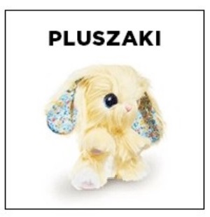 Pluszaki